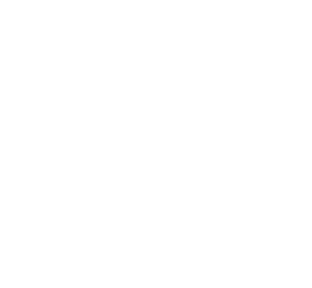 Investor
