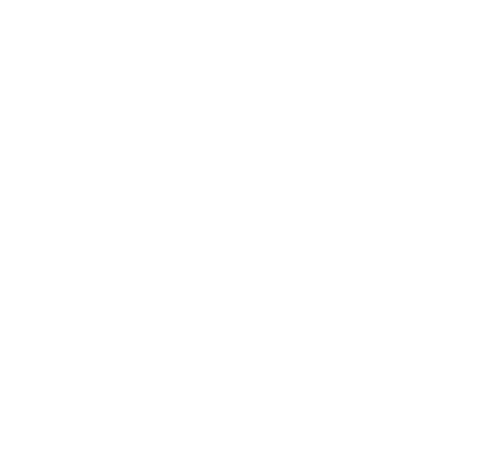 Government
