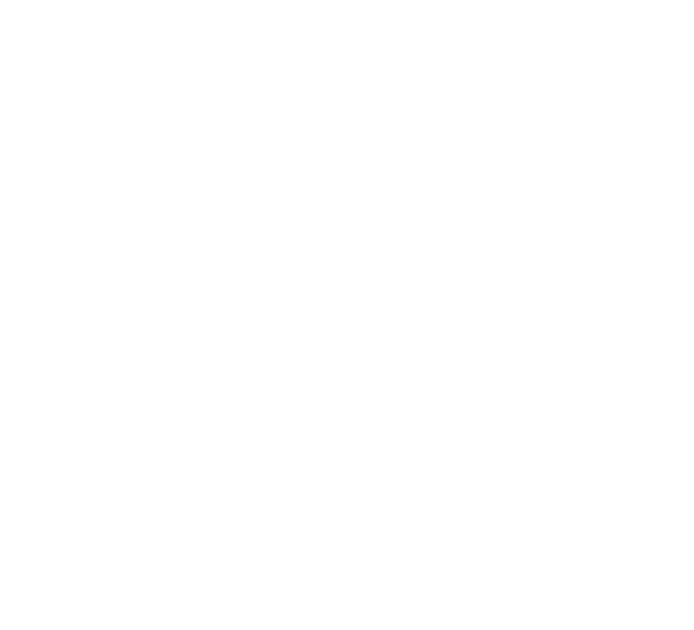 Academia